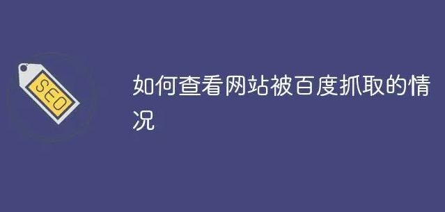 蜘蛛抓取頁(yè)面沒(méi)有記錄痕跡怎么回事？