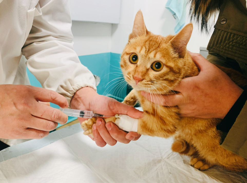 1685929285482616.png image.png