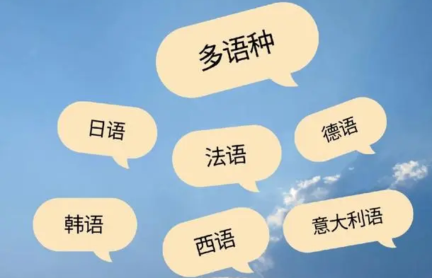 多語種企業(yè)網(wǎng)站建設(shè)困境剖析：從語言適配到用戶體驗(yàn)的挑戰(zhàn)